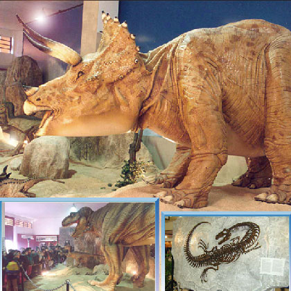 Esposizione il Grande Triceratops