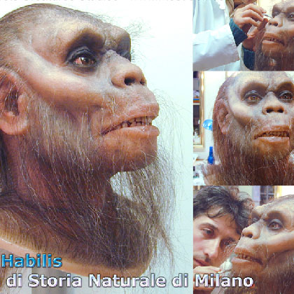 Foto dell'Homo Habilis per lesposizione dell'evento Darwin Day