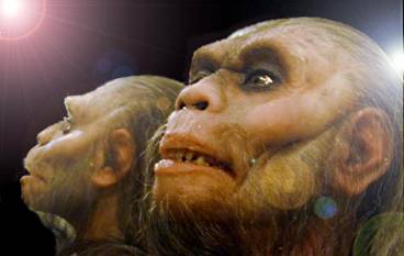 immagine dell'Homo Habilis ricostruzione scientifica